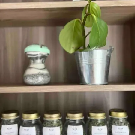 La Casa In Collina Holiday home